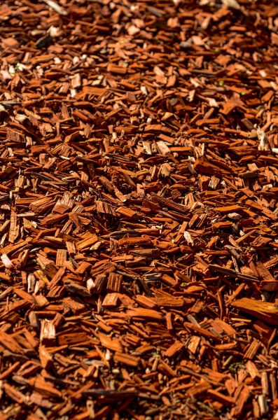 Cedar Mulch Spreading in Bend