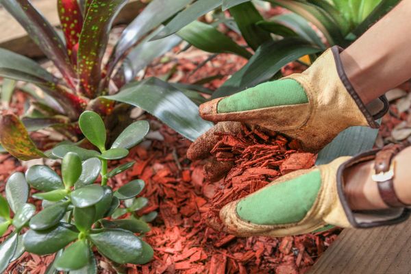 Residential Mulching in Bend