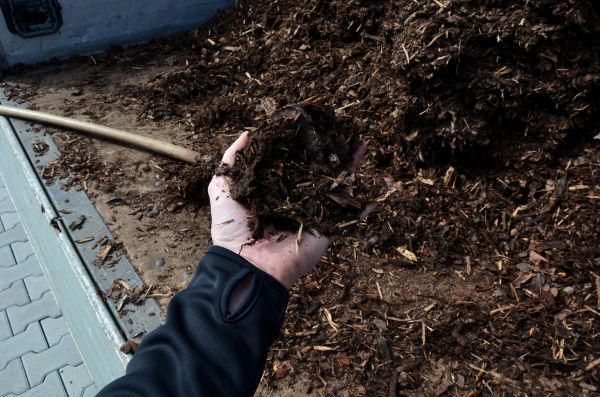 Condo Mulching in Bend