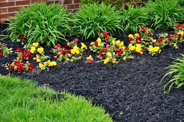 Apartment Mulching in Bend